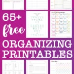 65+ Free Organizing Printables