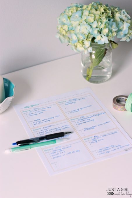 Goal Setting by Category