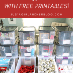 How to Organize Storage Bins (with Free Printables!)